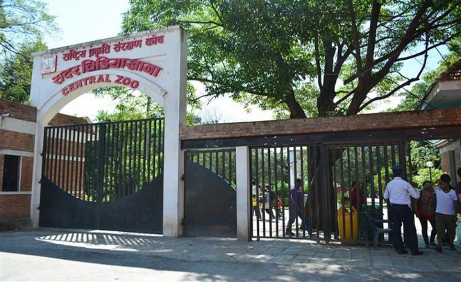सदर चिडियाखानाको जनावर ‘रेस्क्यु’ टोली नेपालभर सक्रिय