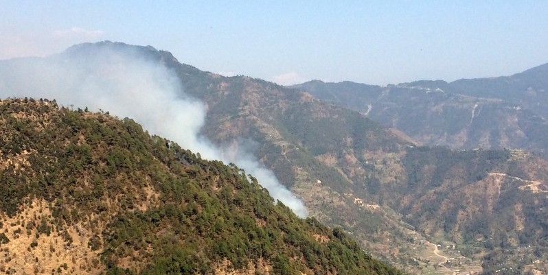 यस्ता छन् डढेलोका बहुअसर