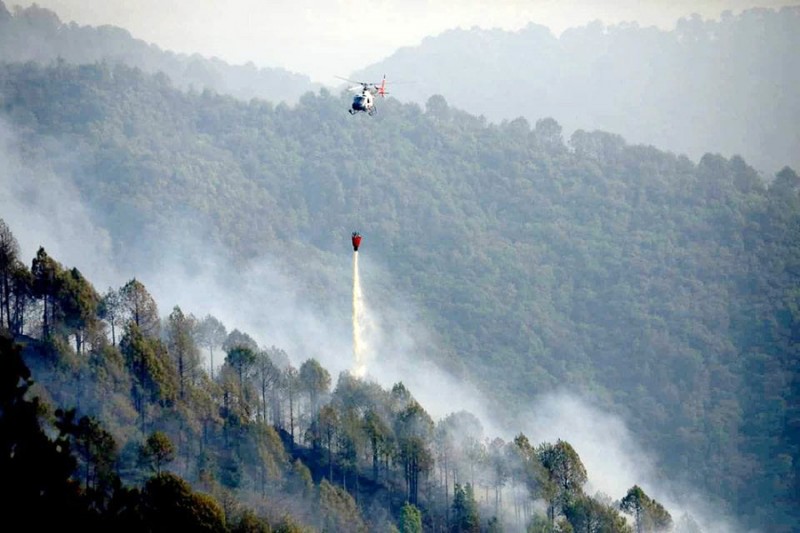 बागमती प्रदेशः डढेलोबाट नौ हजार छ सय हेक्टर वनमा क्षति