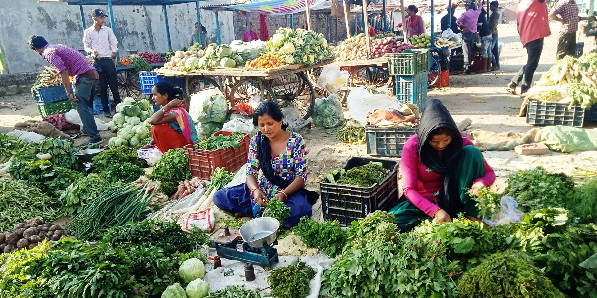 सडक कालोपत्र हुन थालेपछि किसानलाई कृषि उपज बजारसम्म पुर्याउन  सहज