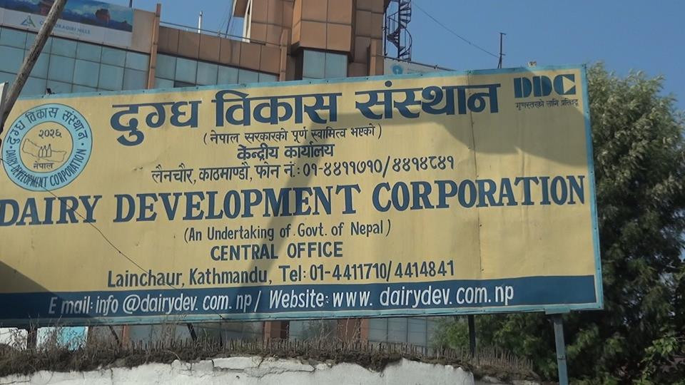 दुग्ध विकास संस्थानका उत्पादन सबै वडामा बिक्री गर्ने व्यवस्था मिलाउन  माग