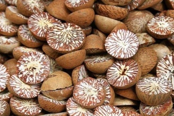 नीतिगत अन्योलले चार वर्षदेखि सुपारी निर्यात ठप्प