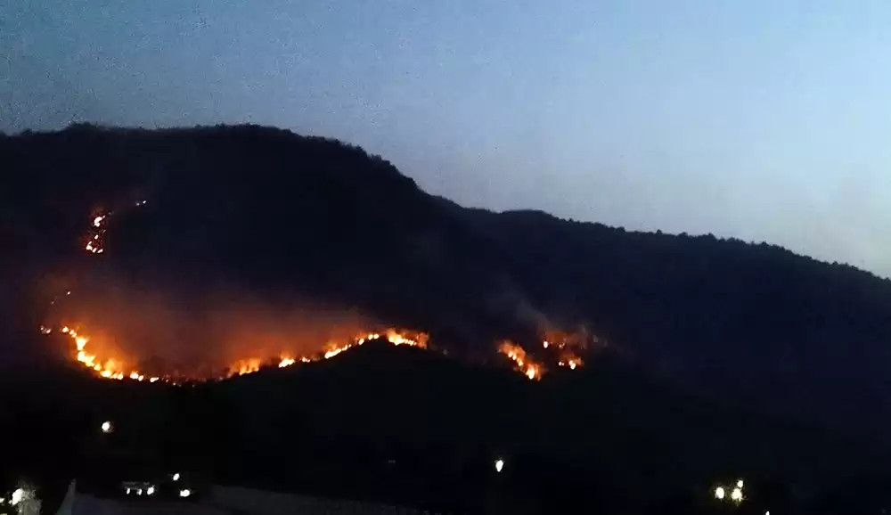 Bagmati Province: Wildfires cause loss to 9,600 hectares forests