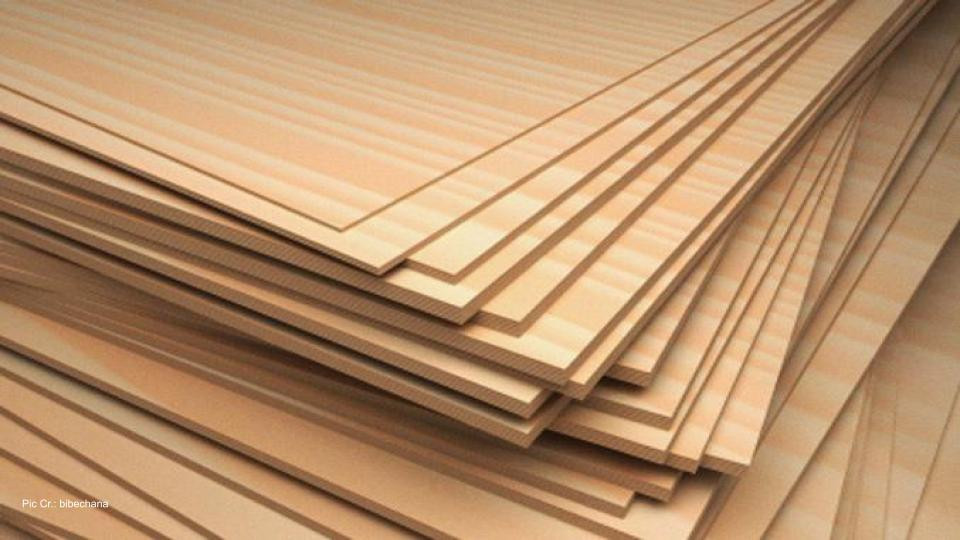 Export of plywood via eastern point comes to total halt