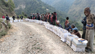 अनुदानमा कृषकलाई गोलासहितको मौरीघार