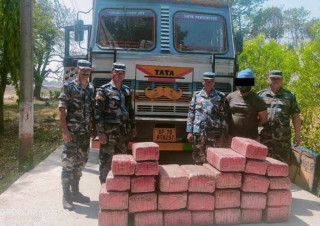 २७२ किलो गाँजासहित   कन्टेनर र चालक सशस्त्र प्रहरी बलको  नियन्त्रणमा