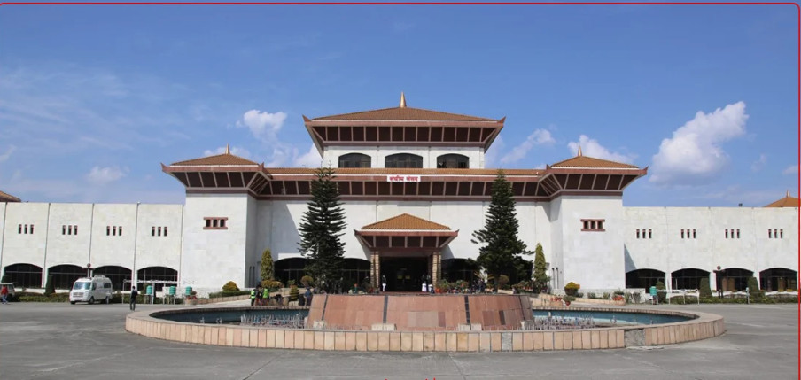 प्रतिनिधि सभामा भन्सार विधेयक सम्बन्धी समितिको प्रतिवेदन  पेश