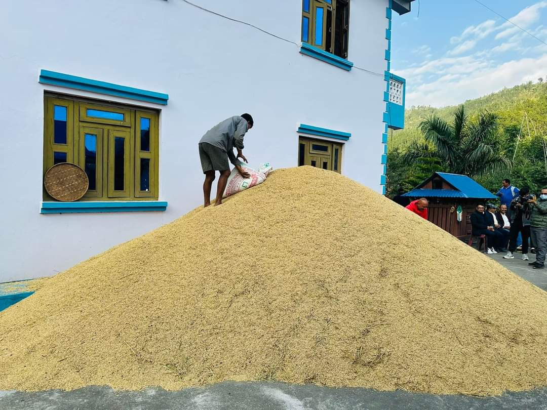 खाद्य कम्पनीद्वारा सिरहामा धान खरिद सुरु