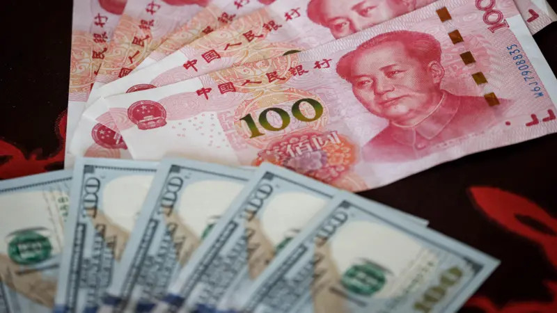 नेपालमा   १७ निकायमध्ये  विश्व बैंकसमूहको अन्तर्राष्ट्रिय विकास संस्था (आईडा) को  सबैभन्दा धैरै ऋण