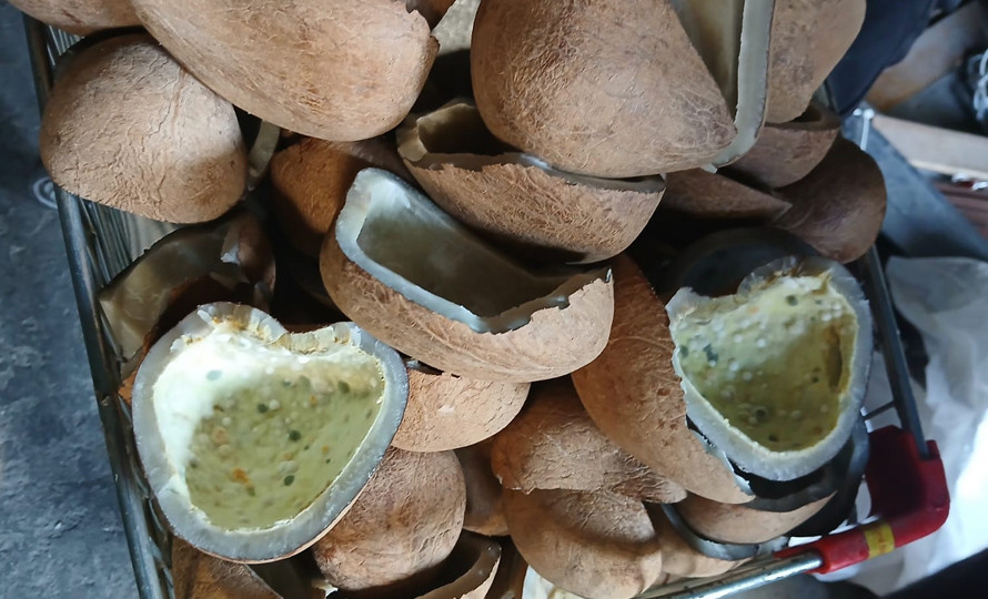 त्रिपुरेश्वरस्थित भाटभटेनी सुपरमार्केटमा प्याक गरिएको नरिवलमा ढुसी फेला