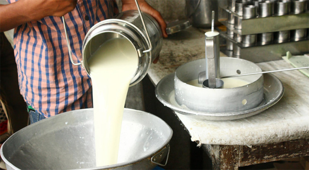 1.5 million liters milk processed for powder and butter