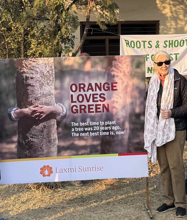 orange loves green 1.JPG