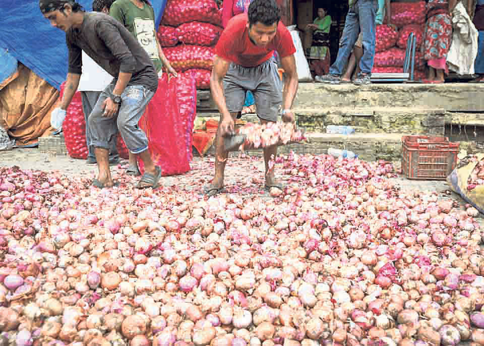 नवलपुरका २५ किसान समूह व्यावसायिक प्याजखेती गर्दै