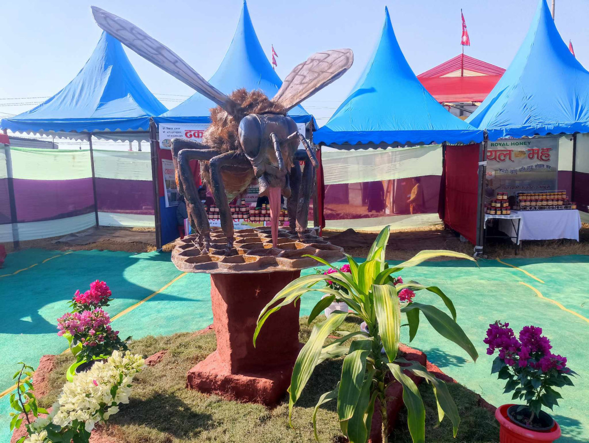 खैरहनी महोत्सवमा महकाे प्रवर्द्धन गरिँदै