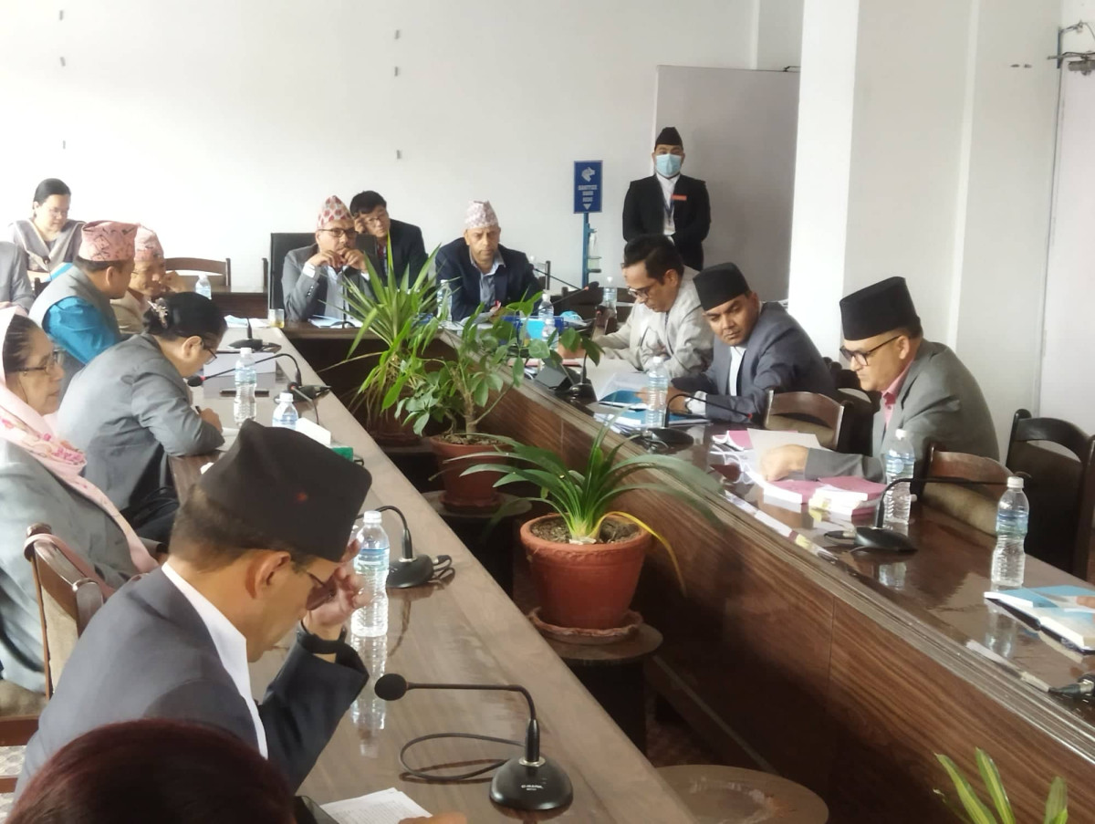 भन्सार विधेयकमाथि सैद्धान्तिक छलफल