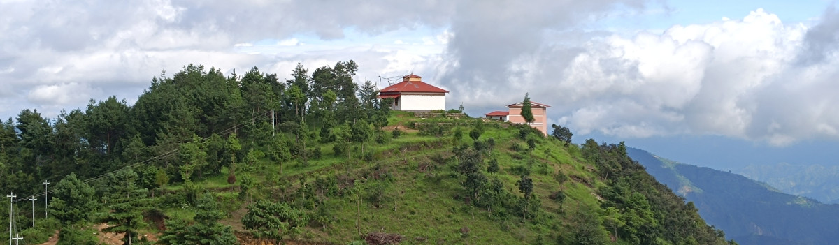भैँसीले हान्दा सिन्धुलीमा एक जनाको मृत्यु