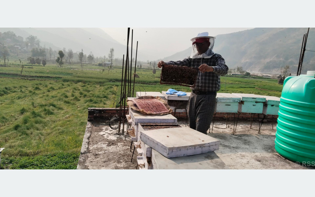 रामेछापमाव्यावसायिक माहुरीपालन फस्टाउँदै